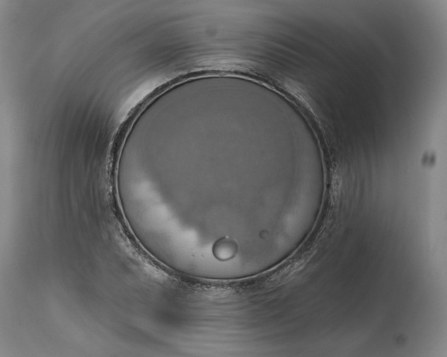 X0000115421071200911171418