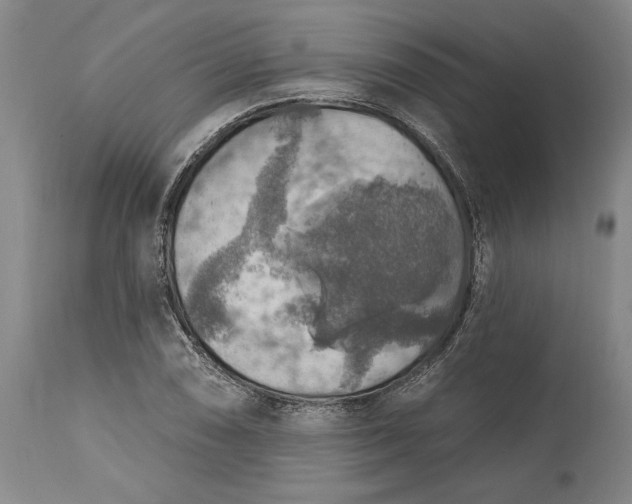 X0000115421074200911171418