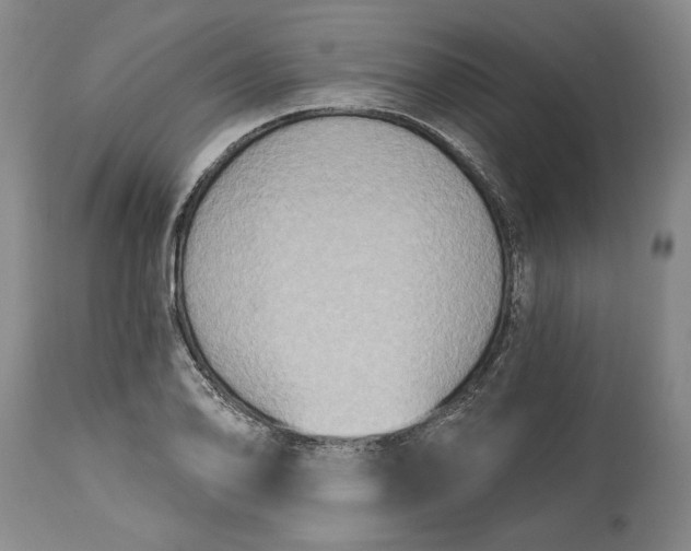 X0000115421078200911171418