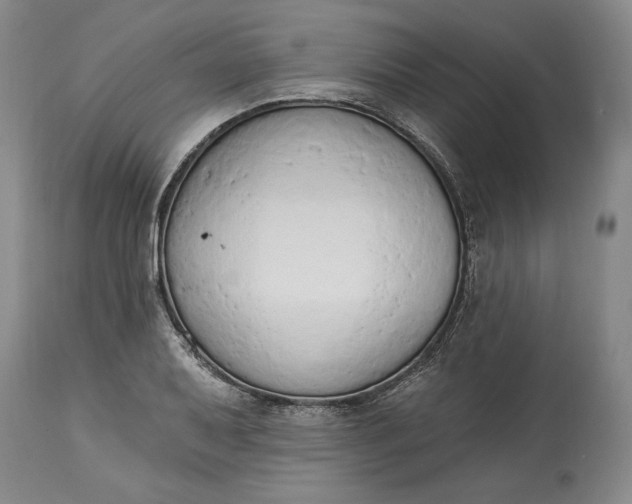 X0000115421079200911171418