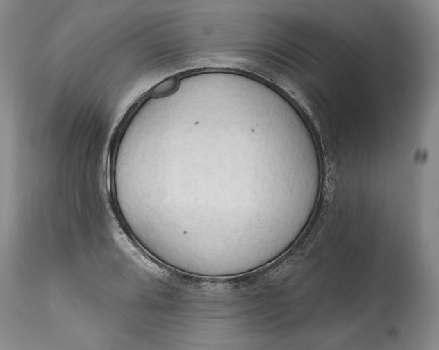 X0000115421080200911171418