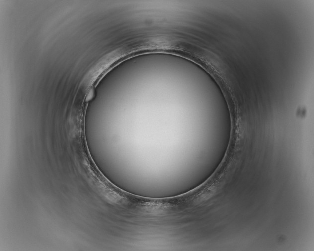 X0000115421081200911171418