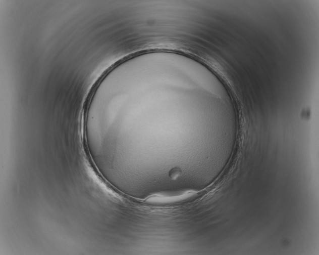 X0000115421084200911171418