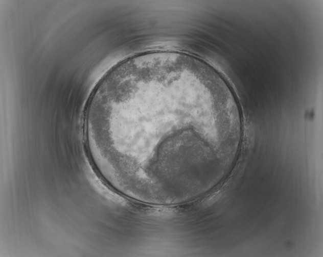 X0000115421090200911171417