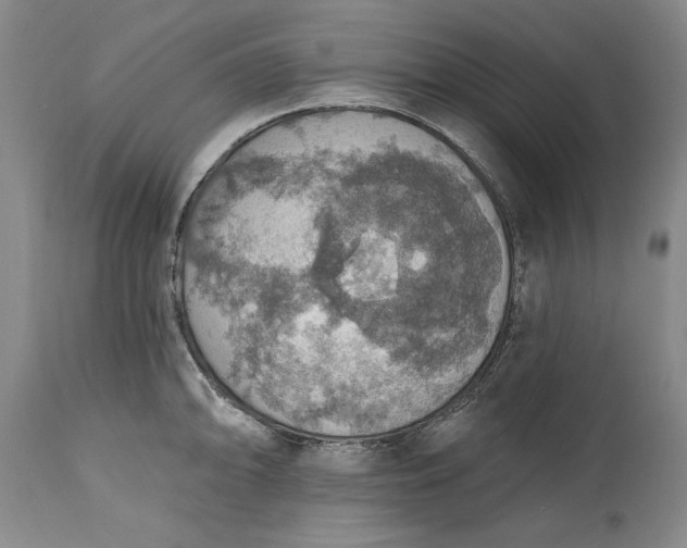 X0000115421094200911171417