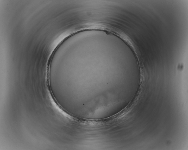 X0000115421095200911171417