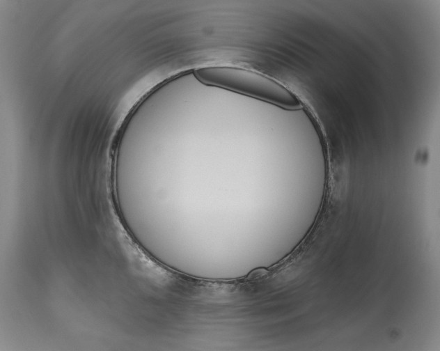 X0000115421096200911171417