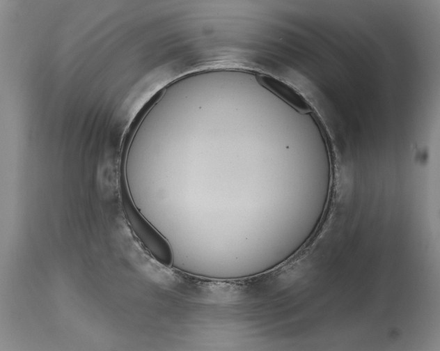 X0000115421097200911171417