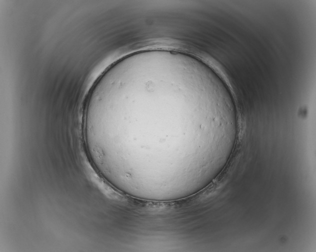X0000115421099200911171417