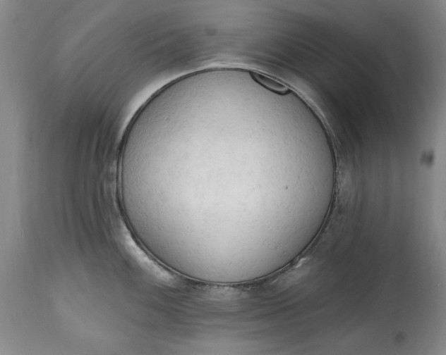 X0000115421100200911171417