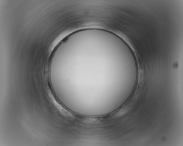 X0000115421101200911171417