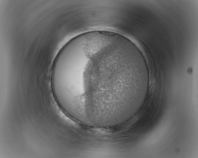 X0000115421102200911171417