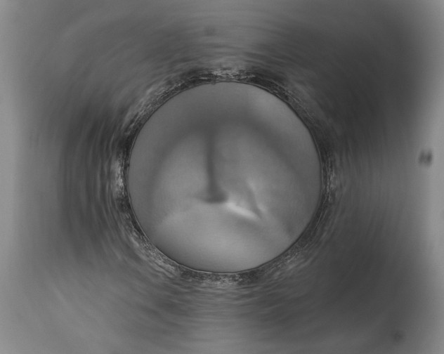X0000115421106200911171417