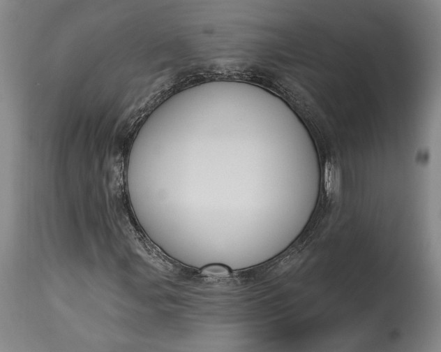 X0000115421107200911171417