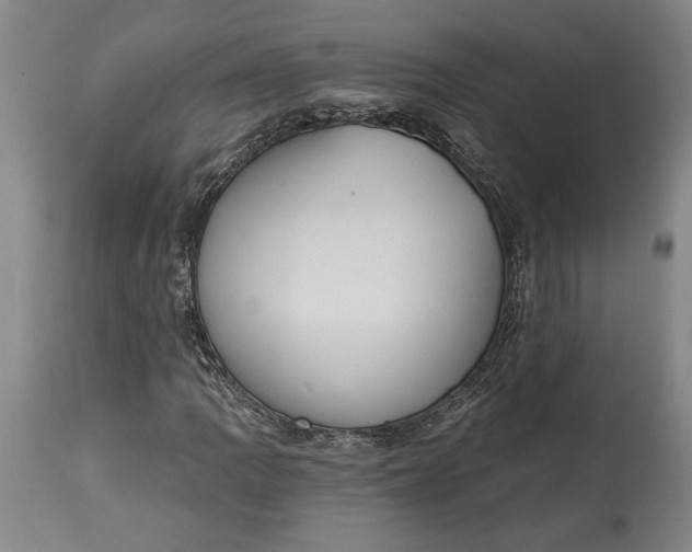 X0000115421109200911171417