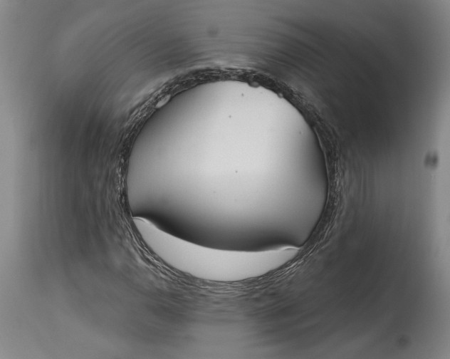 X0000115421110200911171417