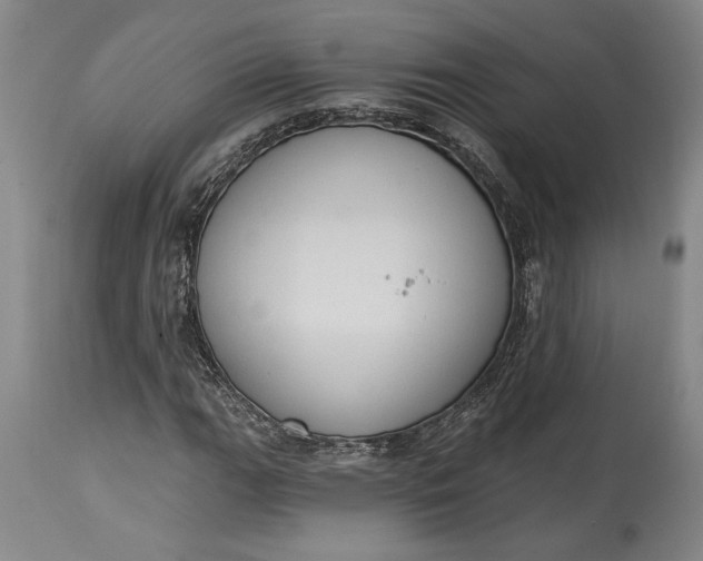 X0000115421111200911171417