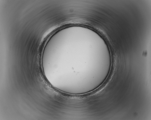 X0000115421114200911171417