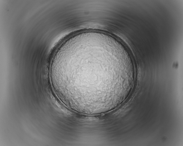 X0000115421115200911171417