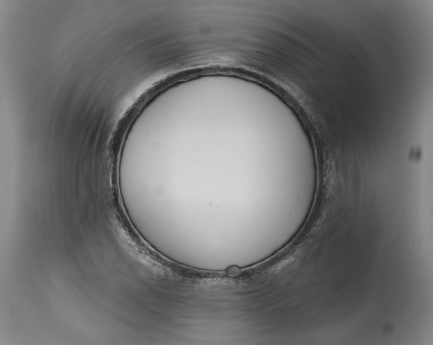 X0000115421118200911171417