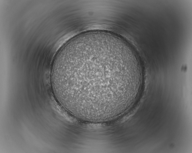 X0000115421121200911171417