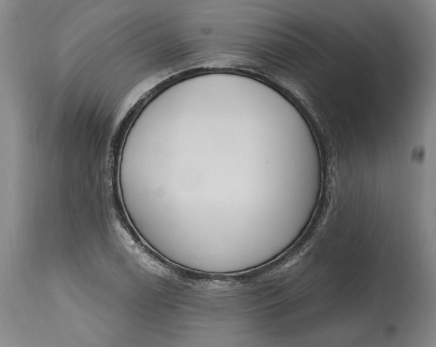 X0000115421122200911171417