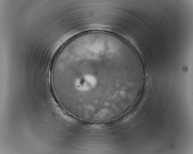 X0000115421125200911171417
