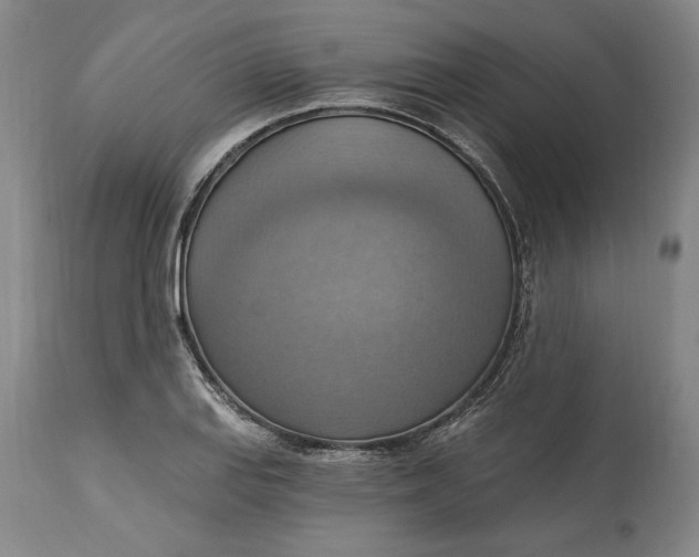 X0000115421127200911171417