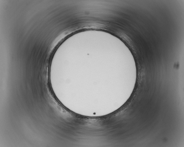 X0000115421130200911171417