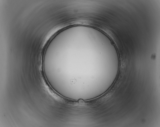 X0000115421131200911171417