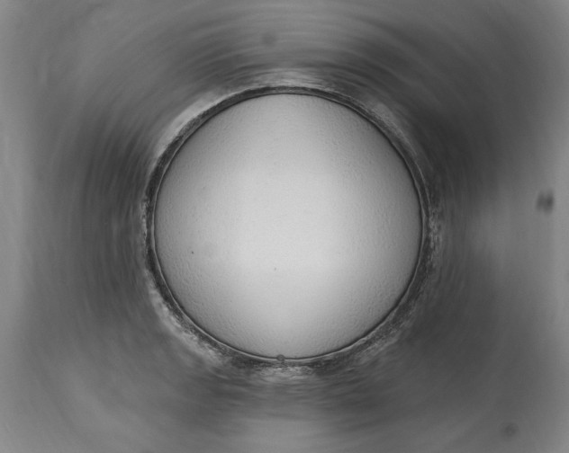 X0000115421133200911171417