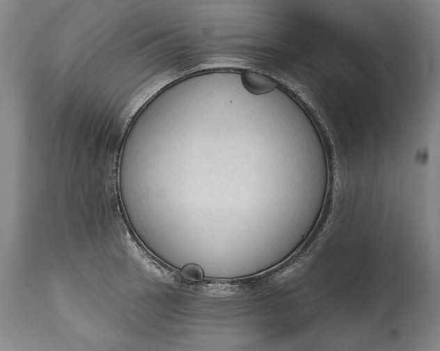 X0000115421137200911171417