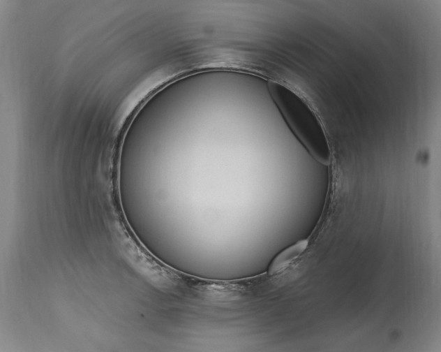 X0000115421138200911171417
