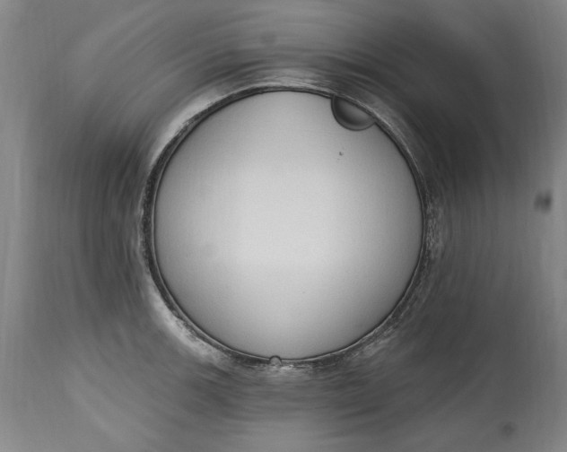 X0000115421139200911171417