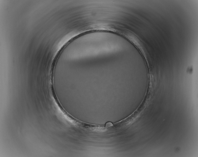 X0000115421141200911171417