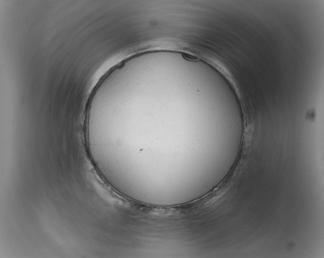 X0000115421146200911171417
