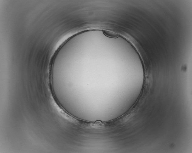 X0000115421147200911171417