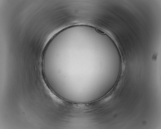 X0000115421149200911171417