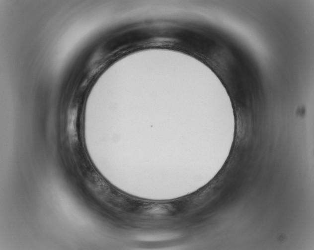 X0000115421150200911171417