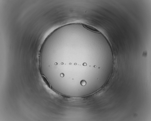 X0000115421151200911171417