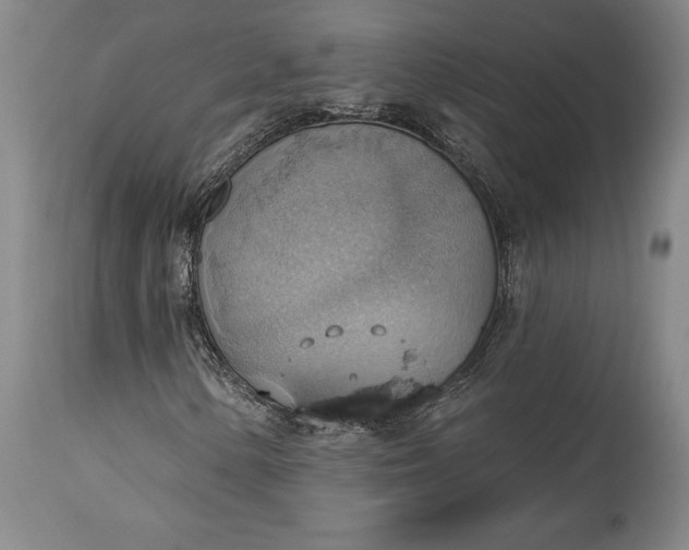 X0000115421154200911171417