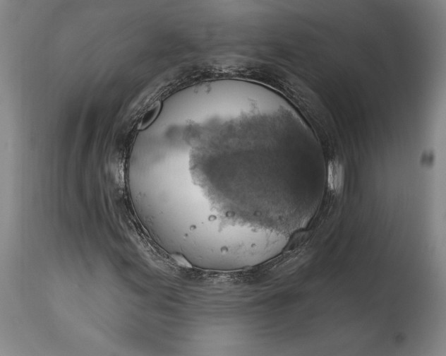 X0000115421155200911171417