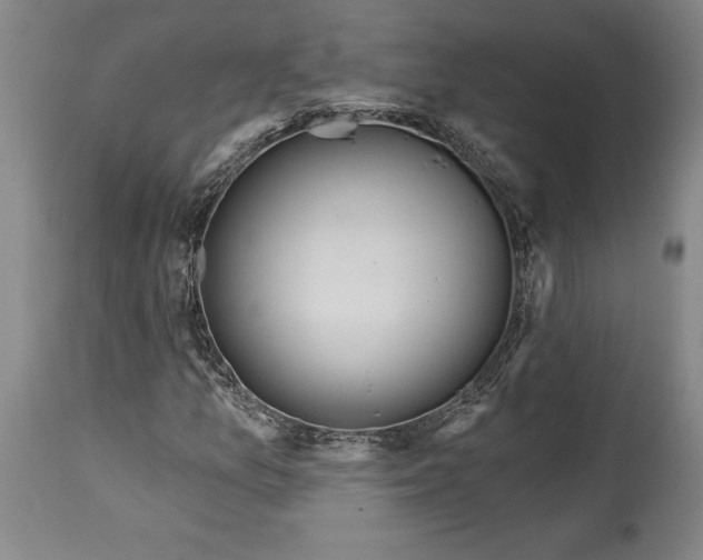 X0000115421157200911171417