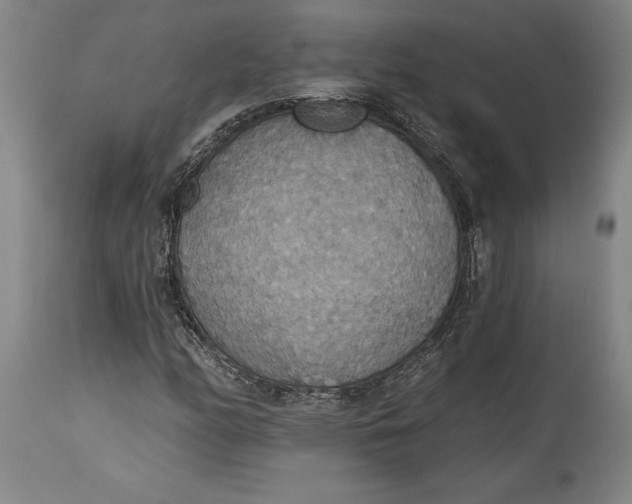 X0000115421158200911171417