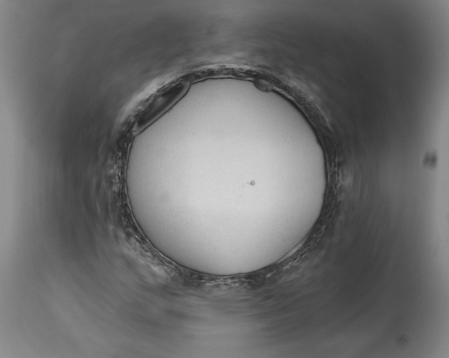 X0000115421159200911171417