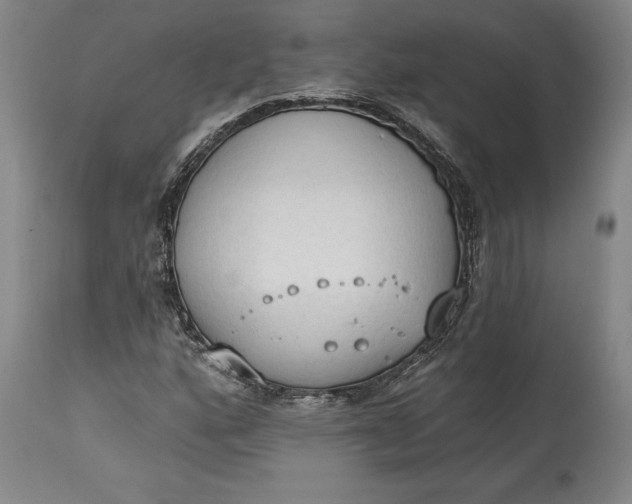 X0000115421160200911171417