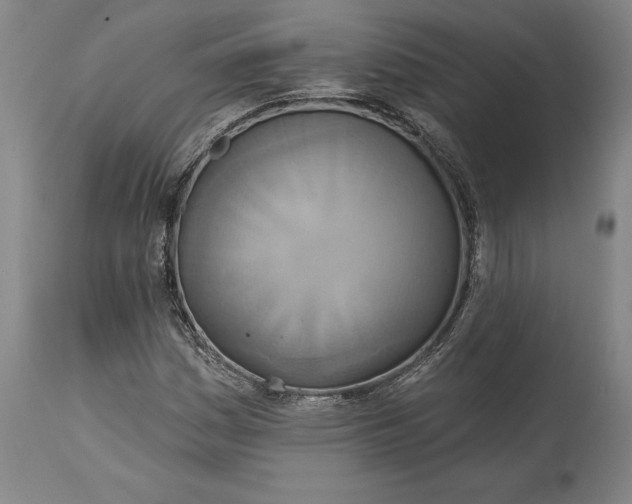X0000115421161200911171416