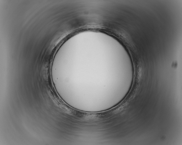 X0000115421162200911171416