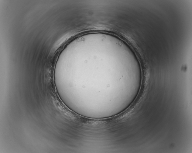 X0000115421163200911171416