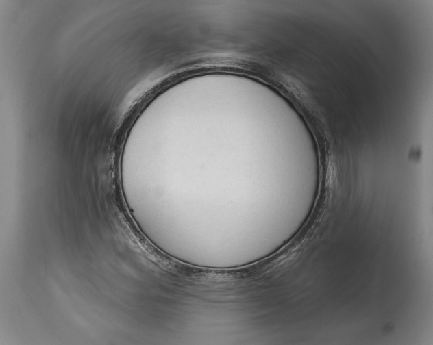 X0000115421164200911171416